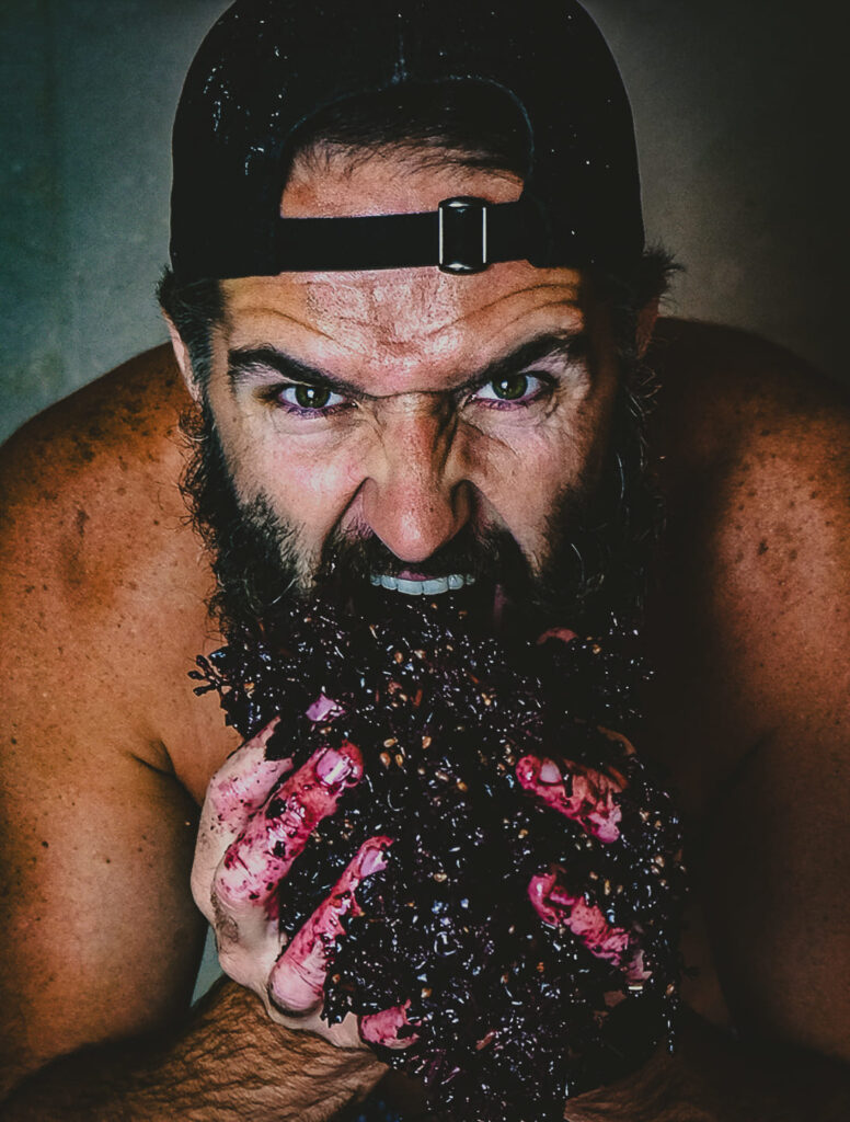 cassagne vitailles photographie