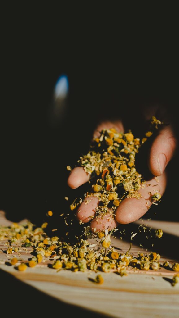 fleurs sechees photographie beewine