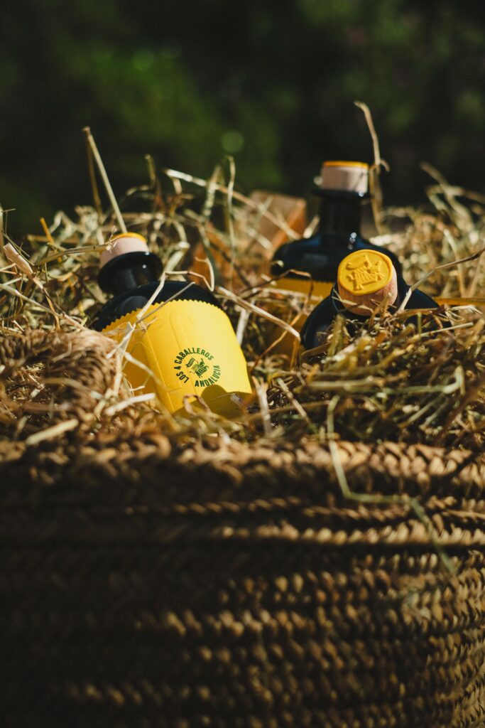 huile olive photographie