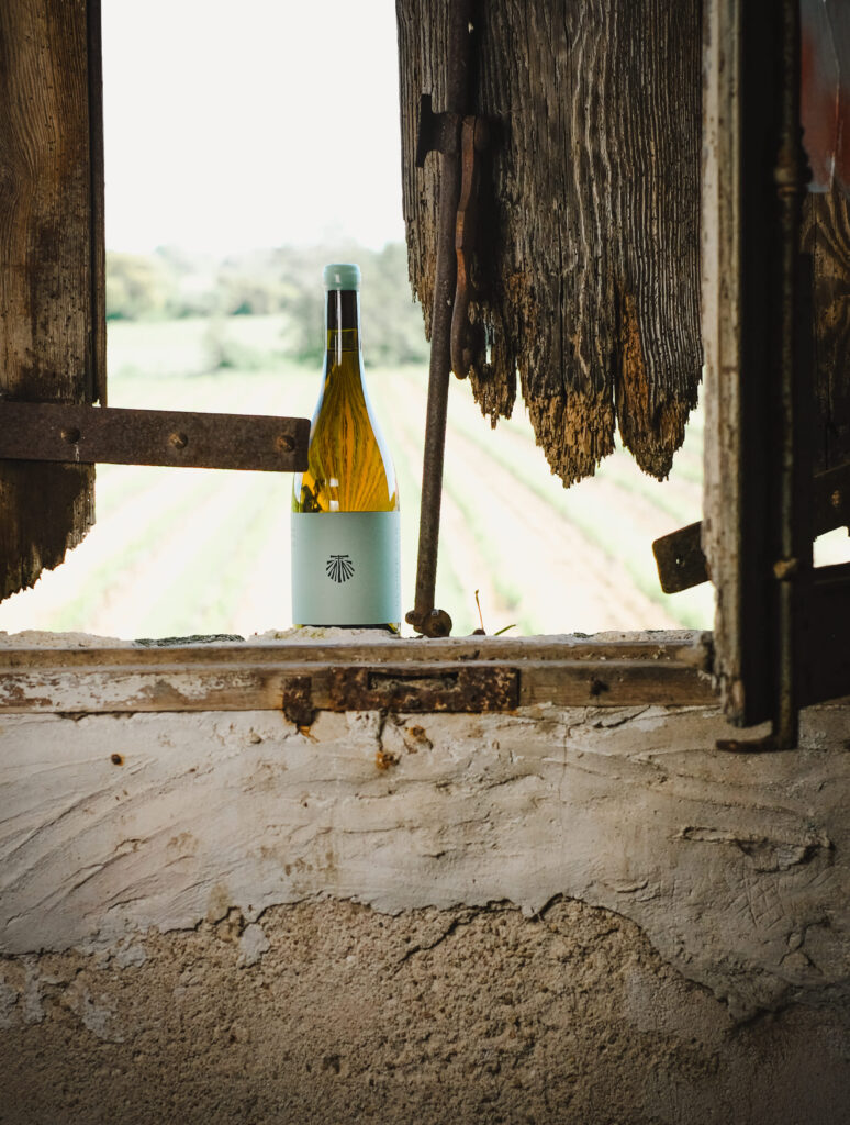 mas magnan reportage photo