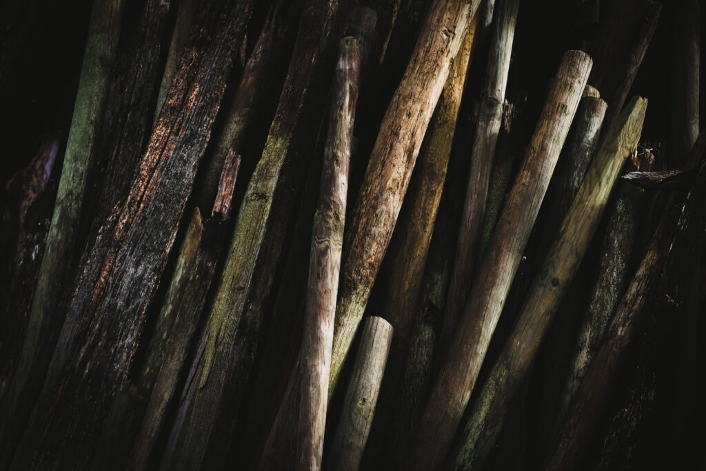 photo domaine viticole piquets vignes