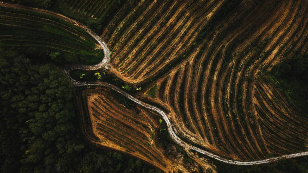 photo vignobles vue aerienne terrasses