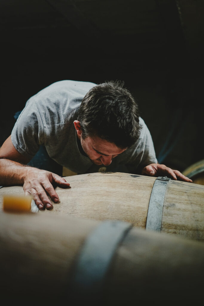 photographie cave tonneau beewine