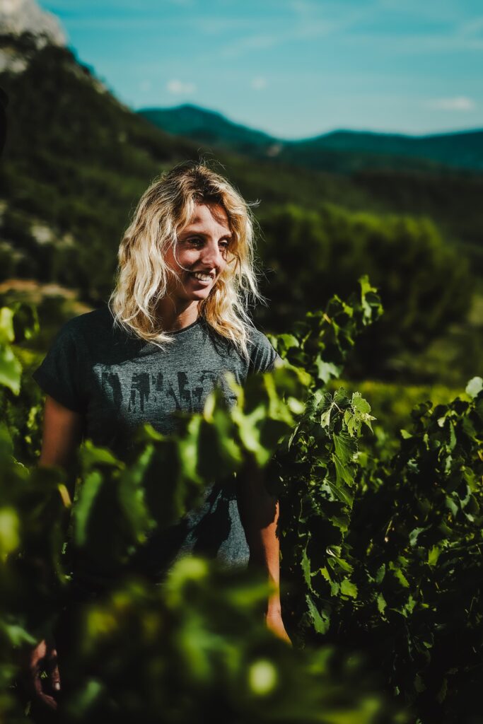 photographies vignes