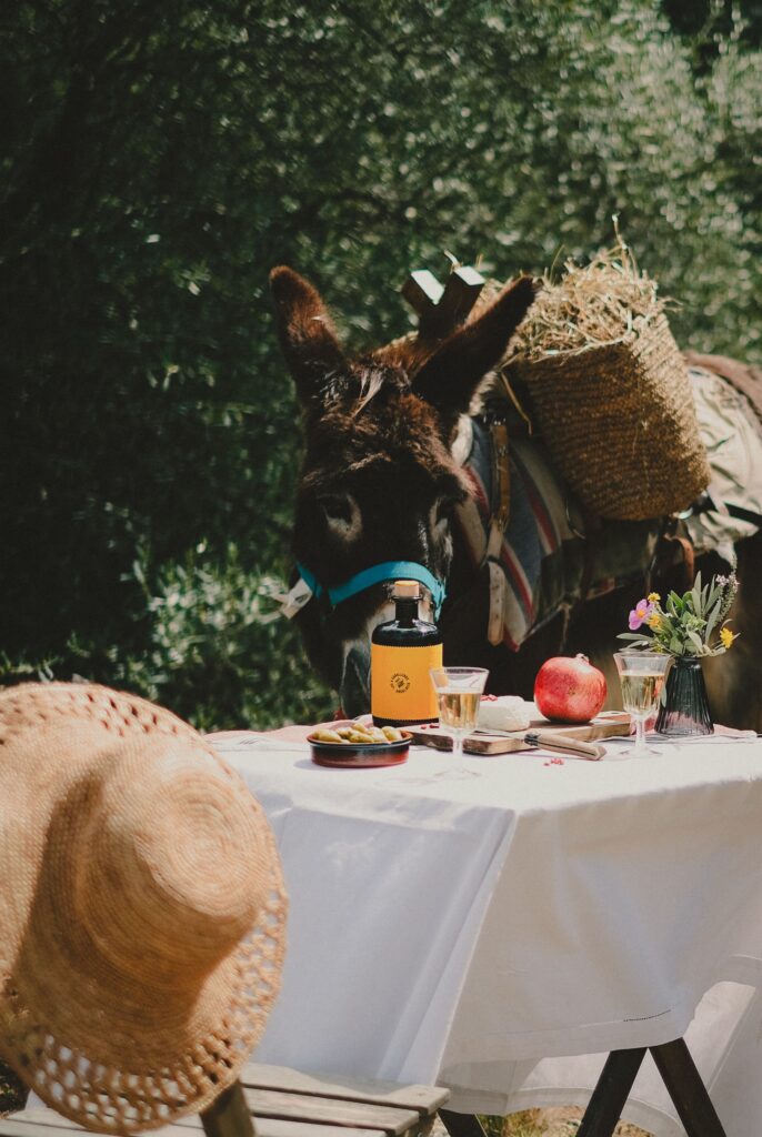 shooting domaine viticole apero table ane agence web vin