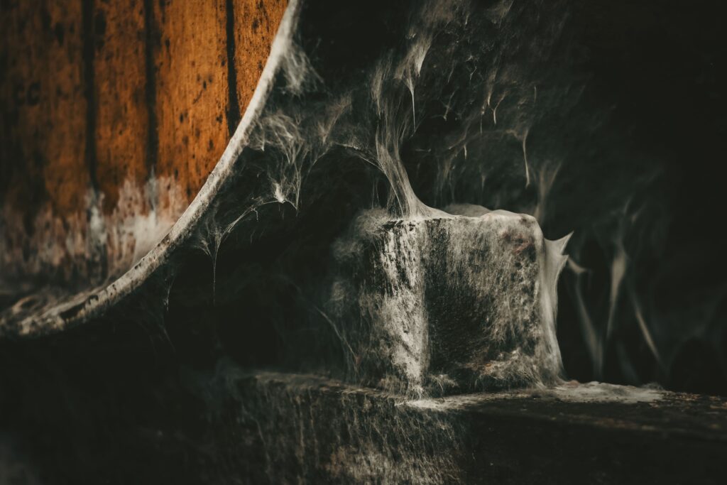 shooting domaine viticole barrique detail