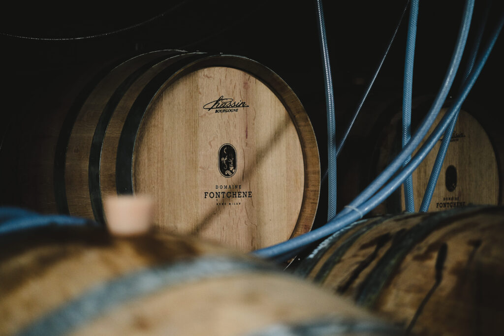 shooting domaine viticole barriques chai agence web vin