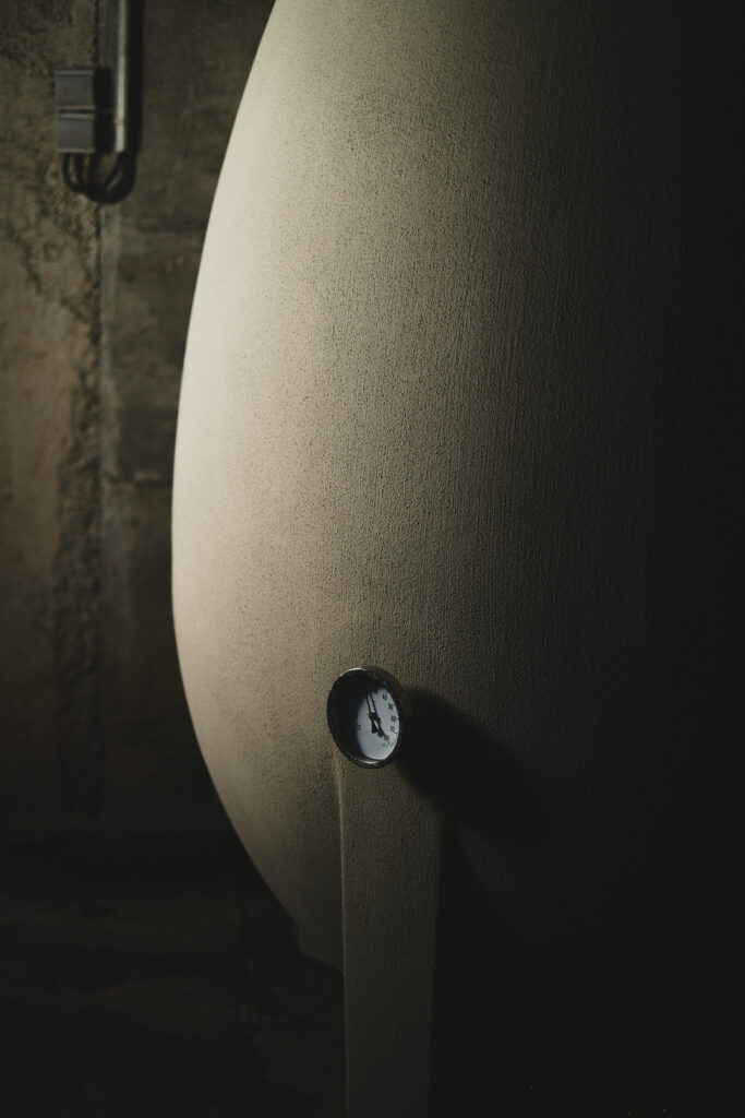 shooting domaine viticole cuve oeuf beton