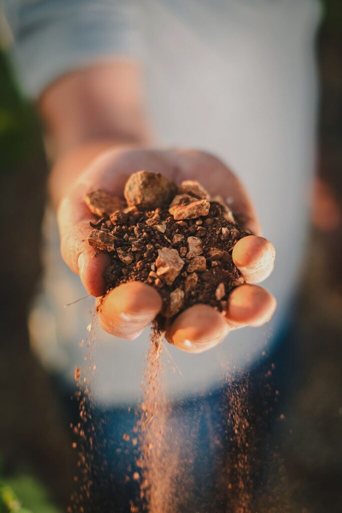 shooting photo vin main raisins terre agence web vin