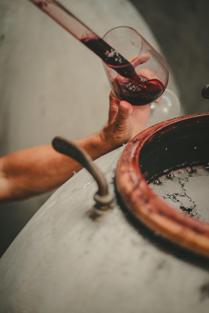 shooting photo vin pigeage cuve rouge