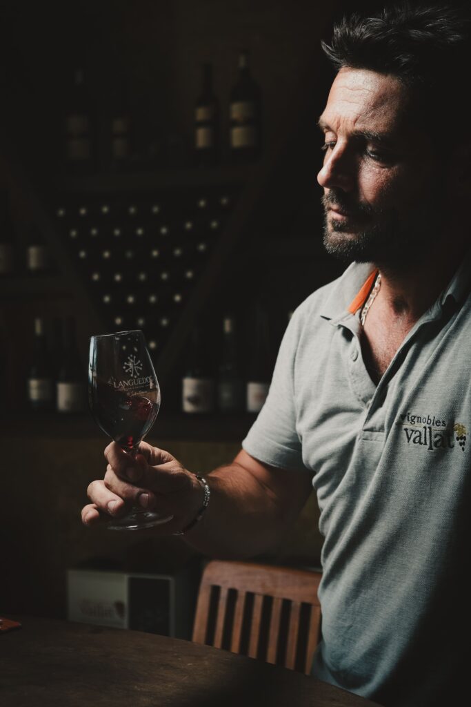 shooting photo vin vigneron degustation agence web vin