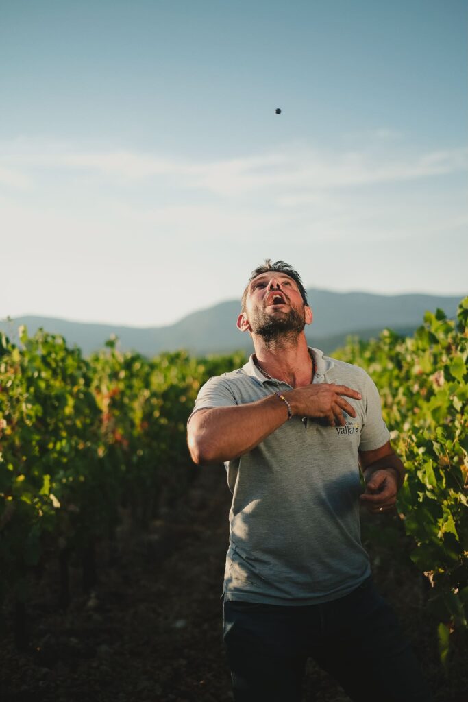 shooting vignoble vigneron vigne plein air