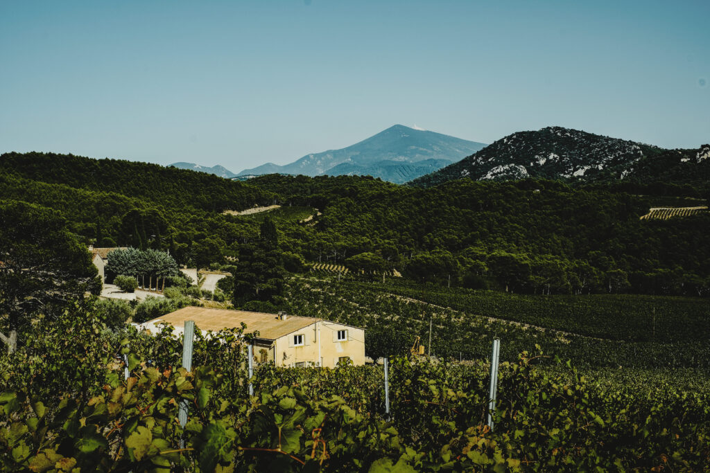 vignes montagne vins photographie