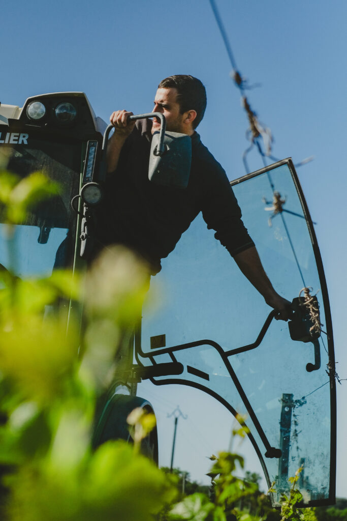 vignes photograpphie beewine